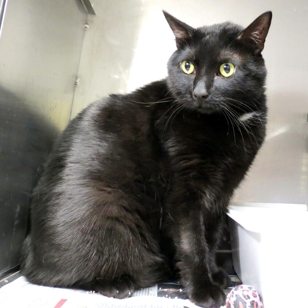 Salem