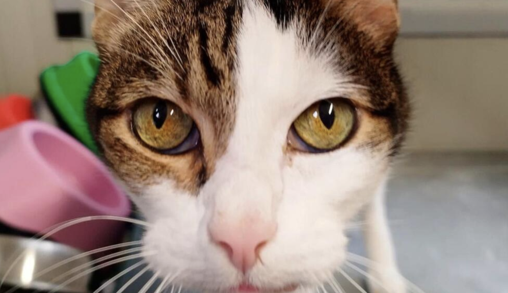 8 giugno non mancare!