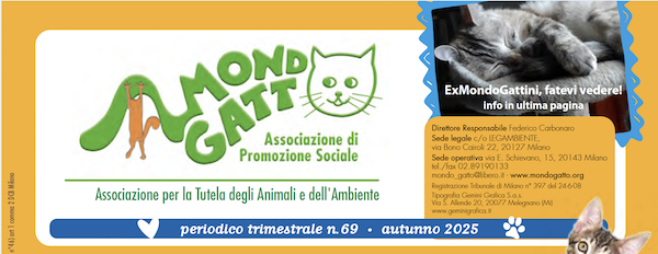 Giornalino N°69 – autunno 2025