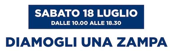 Raccolta pappe