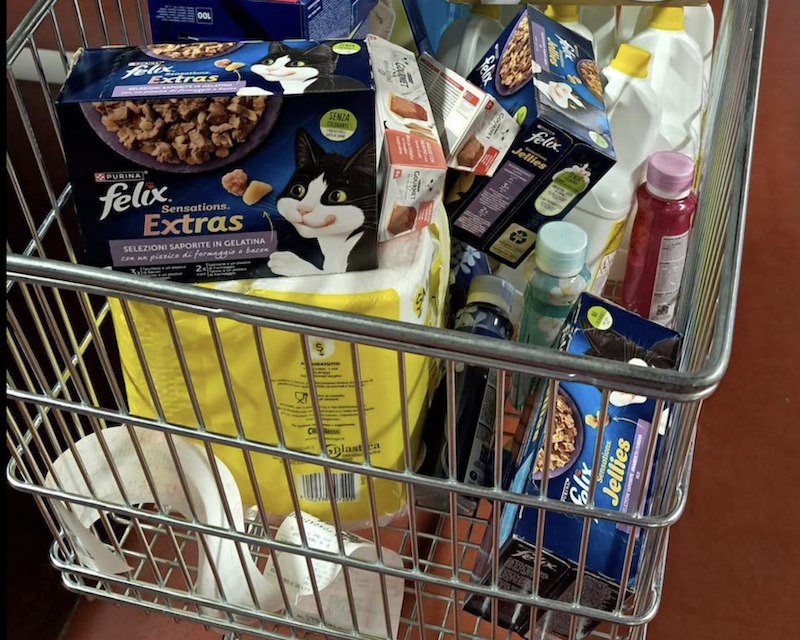 Volontari per un giorno