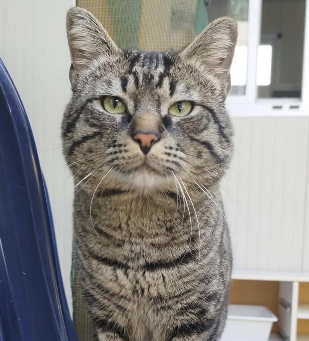 Tom