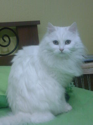 Asturzio e Clarissa Asturzio e Clarissa