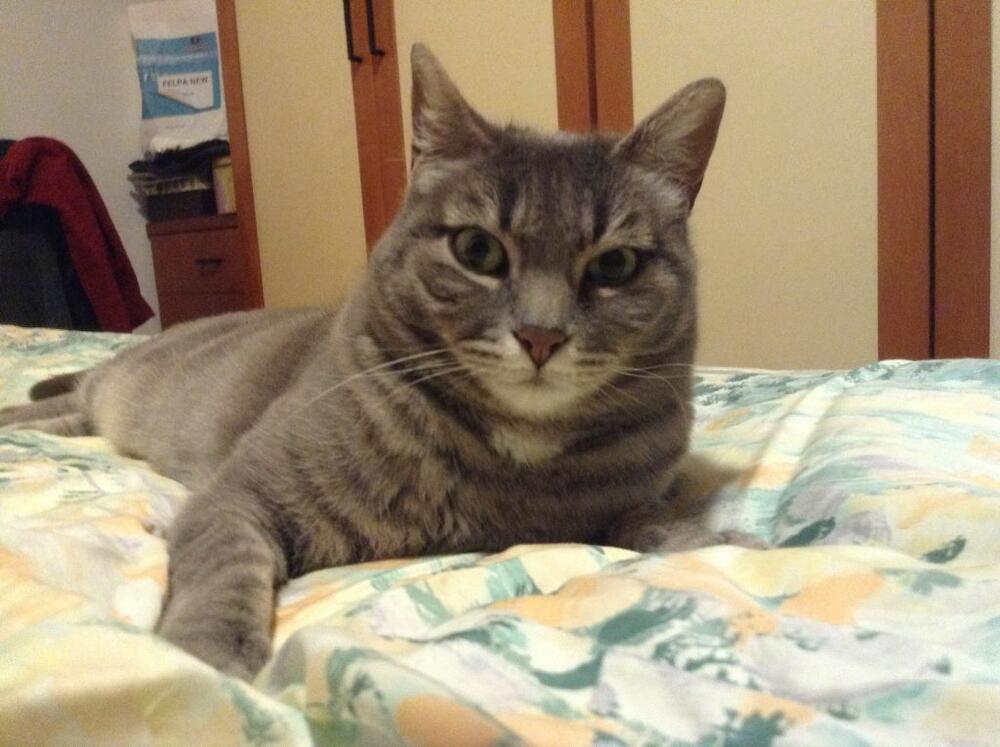 Maya e Milu' ex Betty e Sara