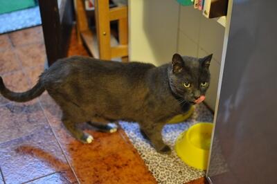 Lord Byron Lord Byron