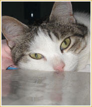 Paquita & Breese Paquita & Breese