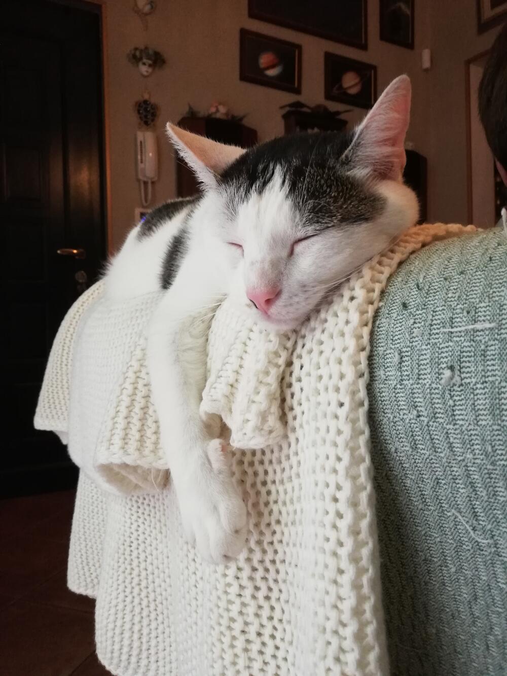 Zucchero: di nome e di fatto!