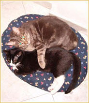 Licia & Eva Licia & Eva