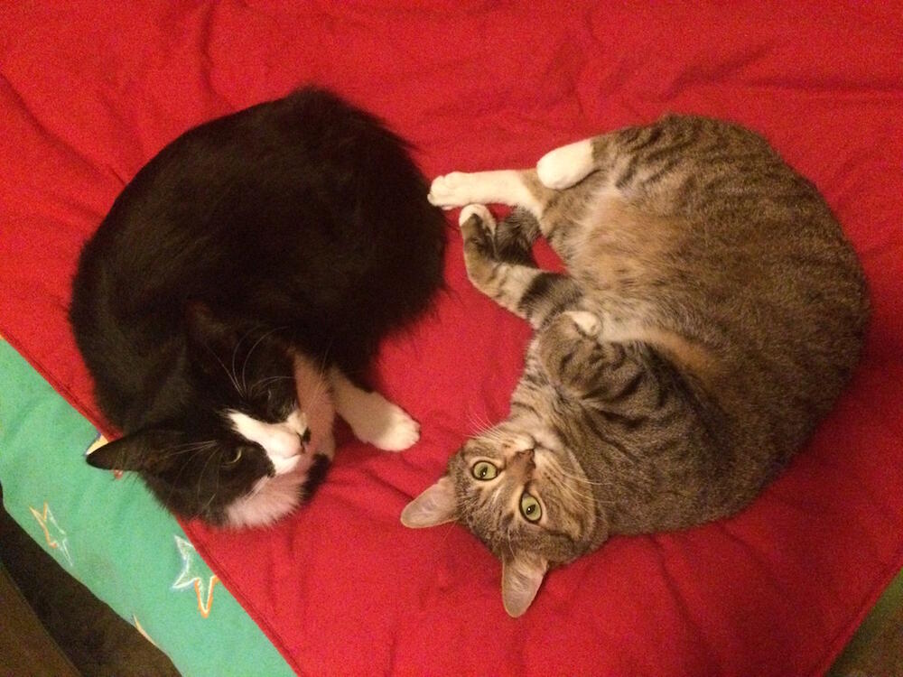 Tito e Cesare Tito e Cesare