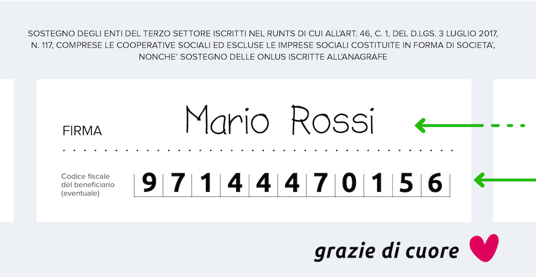 Come donare il 5x1000 a Mondo Gatto