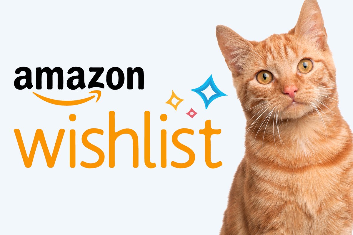 Amazon wishlist