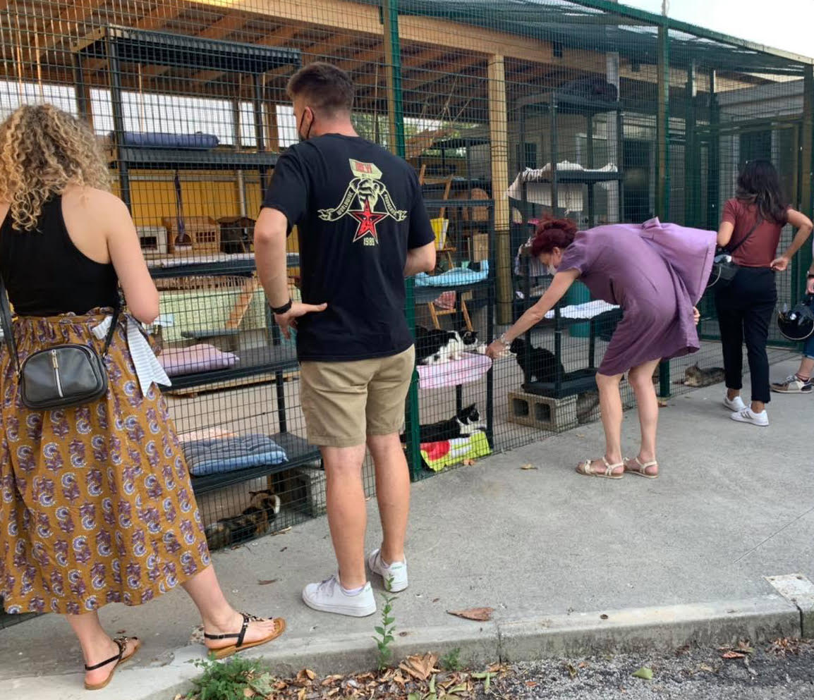 Mercatini Mondo Gatto