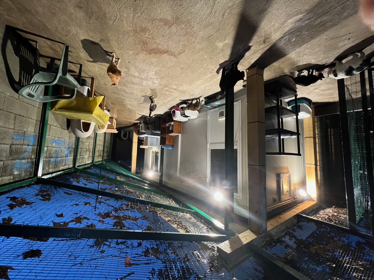 Reparto riabilitazione